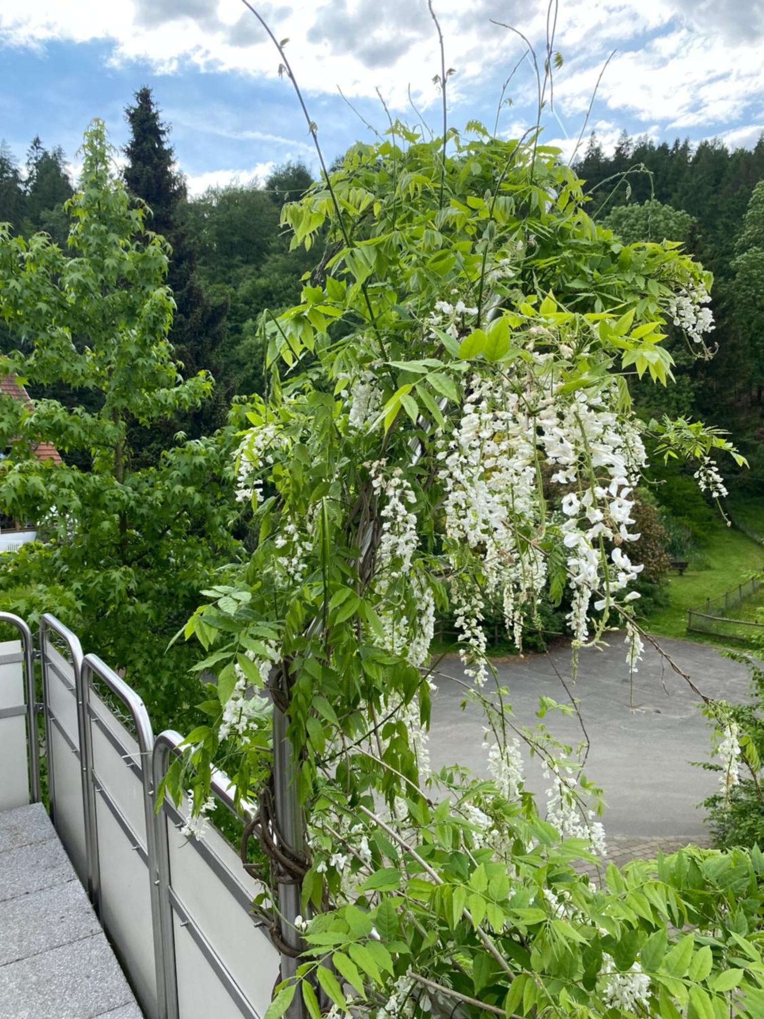 Ferienhof Kroeger Bielefeld Kültér fotó